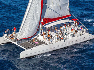 catamarans for sale bvi